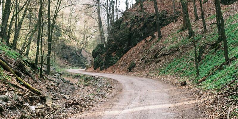 LPWAN技术对决：LoRa与NB-IoT在智慧城市与农业物联网中的实战选型与部署指南