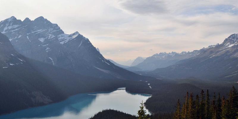 NFV革命：从PR59到云原生，电信运营商如何用虚拟化重构未来网络